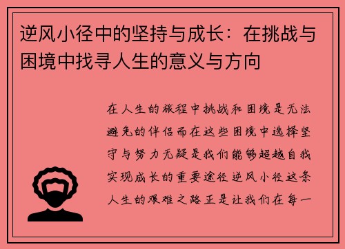 逆风小径中的坚持与成长：在挑战与困境中找寻人生的意义与方向